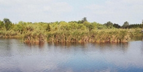 黑龙江宜居城市不是尔滨也非哈尔，而是这 3 小城，退休就来这养老 ...