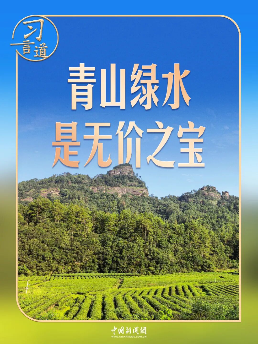 习言道｜走进茶园，习近平强调做好这篇“大文章”