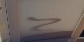 高铁行李架掉下一条蛇？铁路部门回应