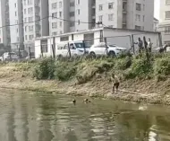退休教师在河里救起小学生，当事人：救人是应该做的，好在孩子没事 ...