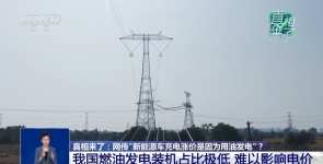 真相来了丨网传新能源车充电涨价是因为“用油发电”？专家回应 ...