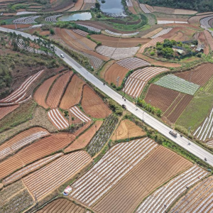 人勤春来早 农忙正当时