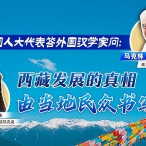 全国人大代表答外国汉学家：西藏牧民用5G书写历史，早已脱离西方叙事｜问答 ...