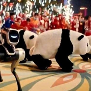 春晚巅峰后创始人单飞，魔法原子IPO冲刺期临阵“换芯” ...