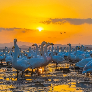 全国人大代表孔凡萍：提振消费 开拓经济增长新空间