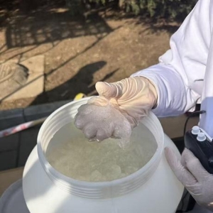 京城打响春季花粉“攻防战”