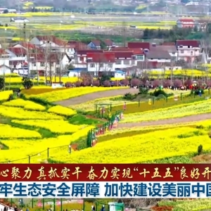 【凝心聚力 真抓实干 奋力实现“十五五”良好开局】筑牢生态安全屏障 加快 ...