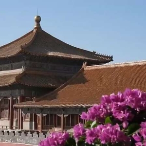 多业态融合发展 激活文旅产业新动能