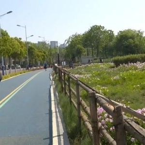 免费、出片、治愈系！这片月见草花海才是春日顶配