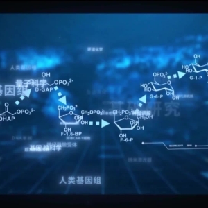 时政专题片丨为有源头活水来——习近平总书记指引基础研究高质量发展 ...