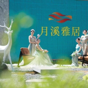 见雅于心｜武汉文旅·月溪雅居营销中心雅境盛启