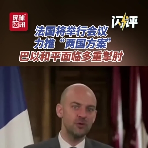 闪评 | 法国将举行会议力推“两国方案” 巴以和平面临多重掣肘 ...