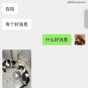 妈妈以为猫跑出来了，抱回家才知道，正主压根没动过窝！ ...