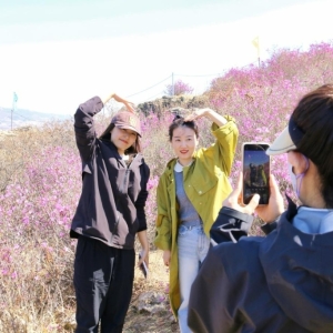 佳木斯市郊区：观杜鹃花海乐购“乡野好物”