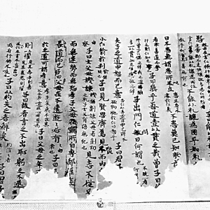 《论语》中的“名”与“类”：中国古代分类认知的语言建构 ...