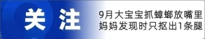 黄仁勋否认英伟达要削减AI芯片的内存：将使用大量的HBM内存，目前供应确实 ...