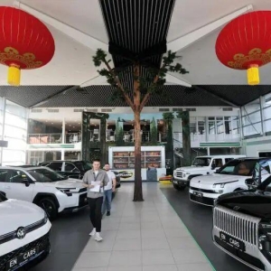 燃油危机加剧，俄罗斯民众抢购中国电动车