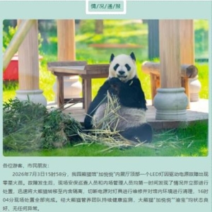 熊猫馆照明设施出现故障 无锡动物园发布情况通报