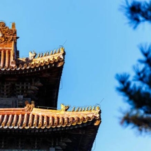 周建华：校长的第一要务是提升课程领导力