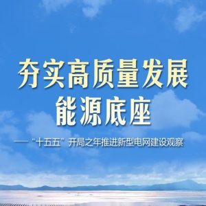 新型电网是张什么网，怎么建