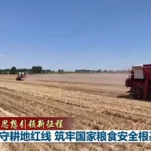 【新思想引领新征程】严守耕地红线 筑牢国家粮食安全根基 ...