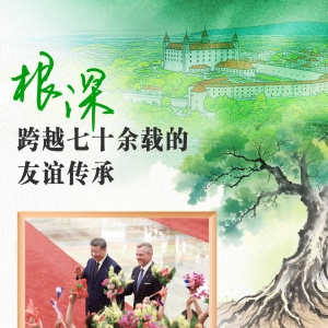 天天学习｜中斯友谊之树根深叶茂