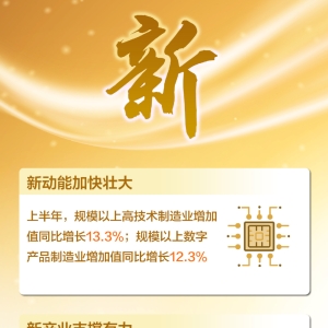 海报｜这四个字，读懂上半年中国经济