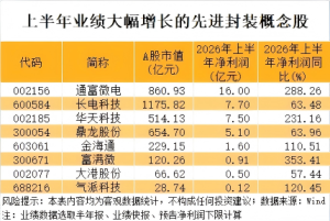 300615“一字”涨停！先进封装重磅会议将举行 8只概念股业绩报喜 ...