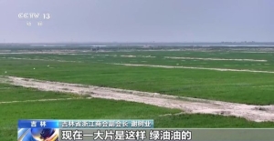 去产地建工厂 “飞地粮仓”探索跨省协作新样板