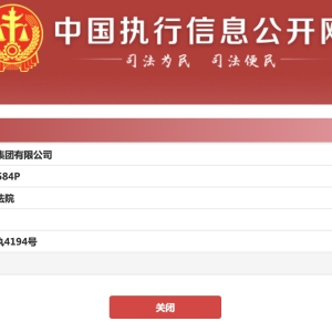 SNH48母公司再成被执行人